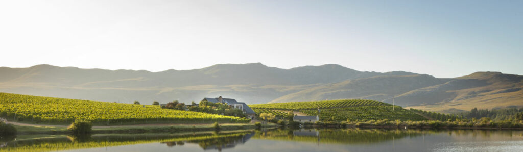 Creation WInes
